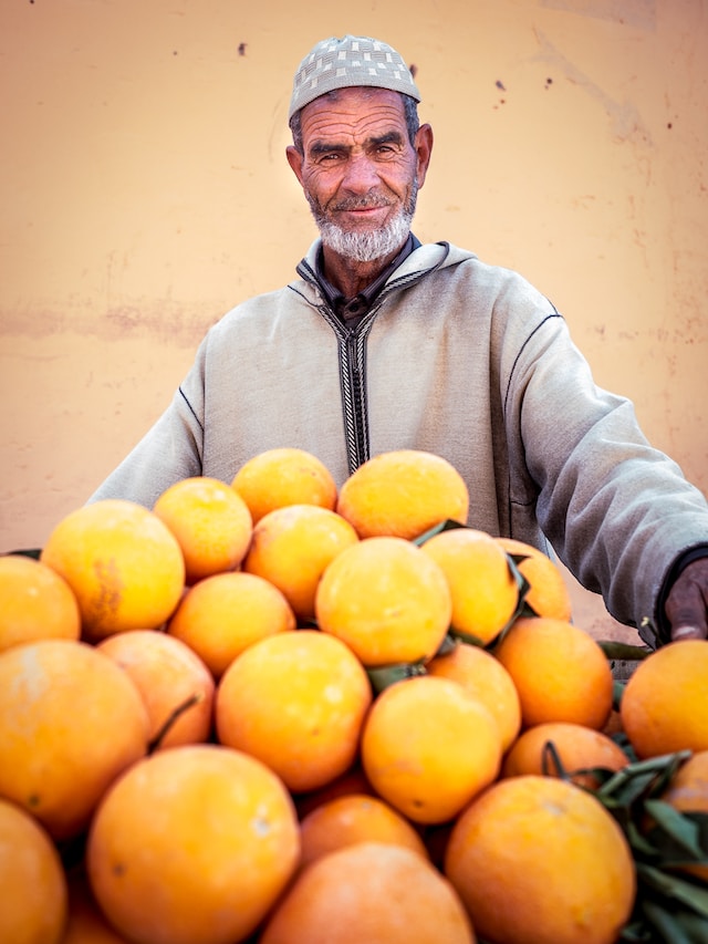 Canicule et production d'agrumes marocaine