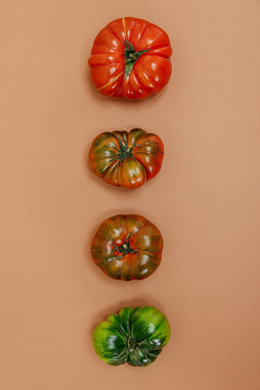 Tomato allergy: impact of genotype and environmental factors on the response