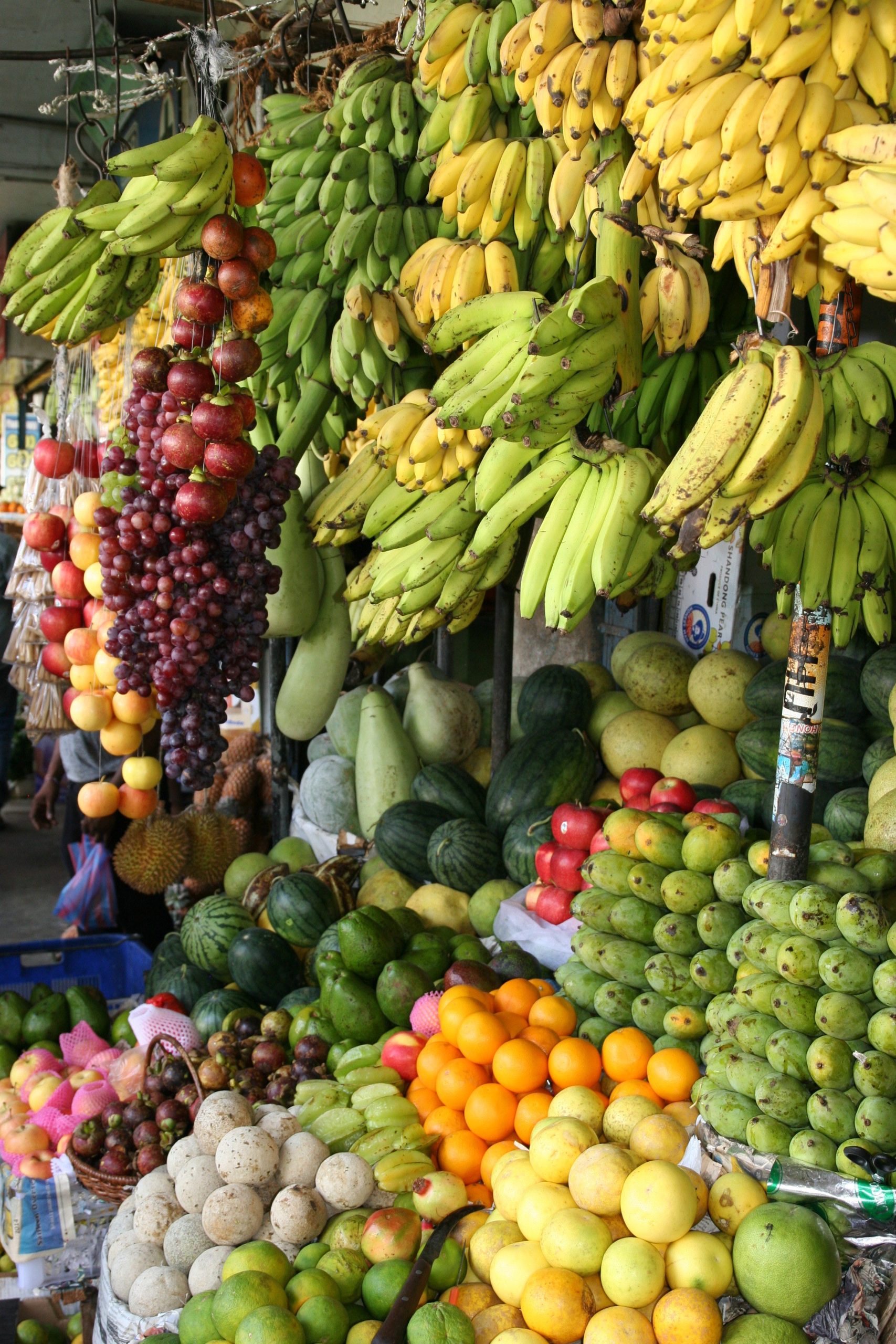 Mettre les systèmes alimentaires au service d’une transformation rurale inclusive