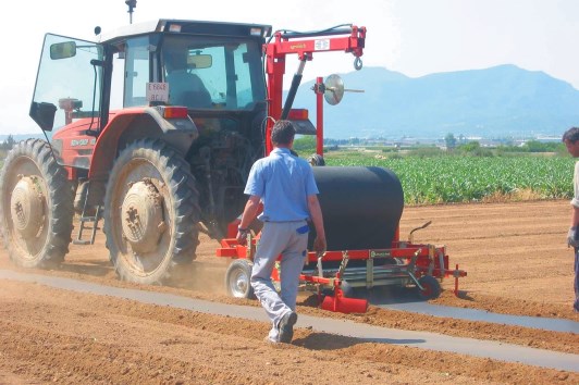 Encoixinat d'hortícoles amb làmines de paper