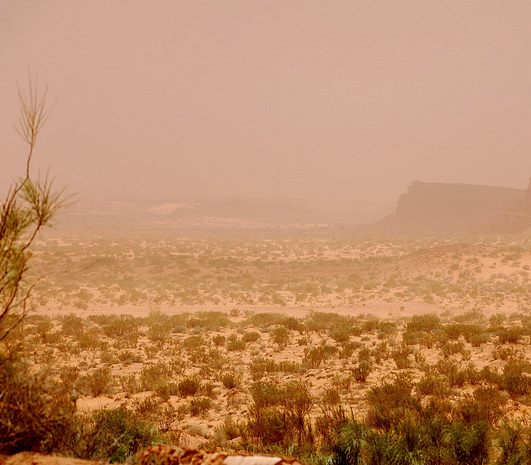 paisatgetendara